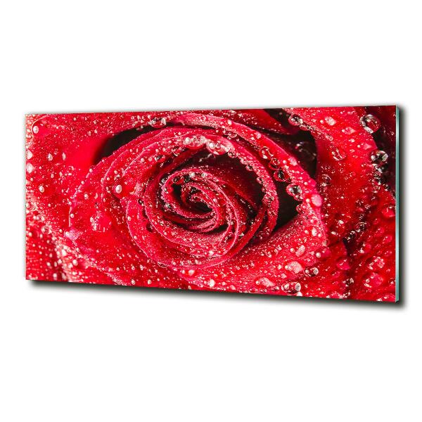 Cuadro decorativo de vidrio para salón horizontal Gotas de agua sobre una rosa
