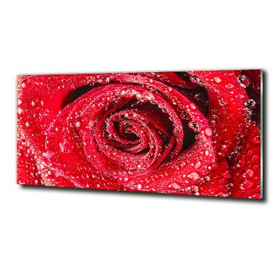 Cuadro decorativo de vidrio para salón horizontal Gotas de agua sobre una rosa