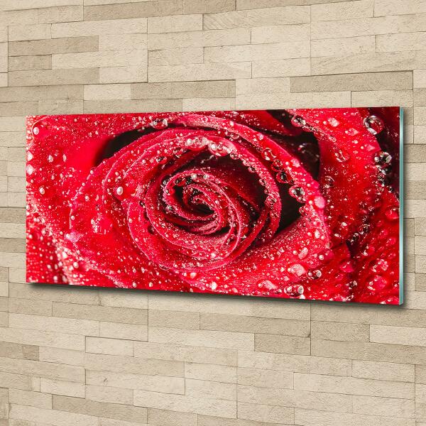 Cuadro decorativo de vidrio para salón horizontal Gotas de agua sobre una rosa