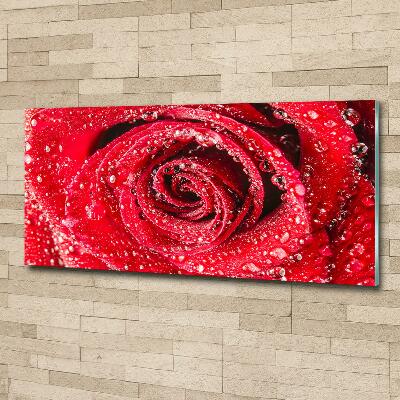 Cuadro decorativo de vidrio para salón horizontal Gotas de agua sobre una rosa