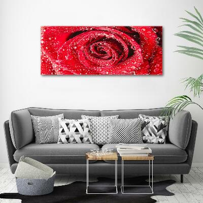 Cuadro decorativo de vidrio para salón horizontal Gotas de agua sobre una rosa