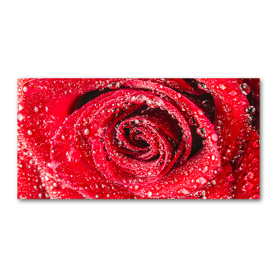 Cuadro decorativo de vidrio para salón horizontal Gotas de agua sobre una rosa