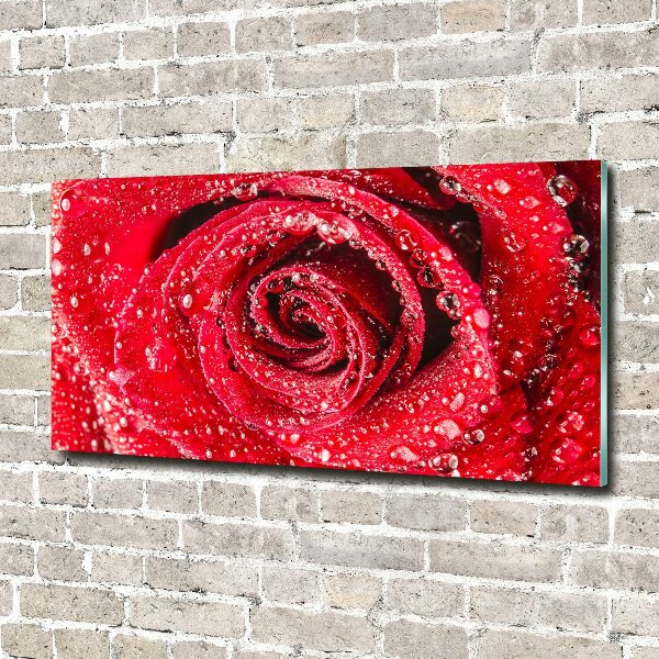 Cuadro decorativo de vidrio para salón horizontal Gotas de agua sobre una rosa