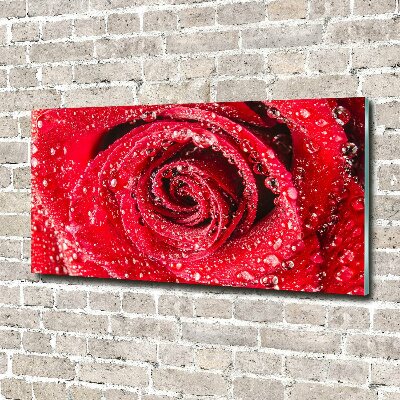 Cuadro decorativo de vidrio para salón horizontal Gotas de agua sobre una rosa