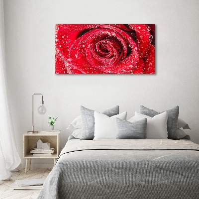 Cuadro decorativo de vidrio para salón horizontal Gotas de agua sobre una rosa
