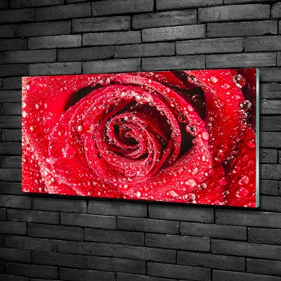 Cuadro decorativo de vidrio para salón horizontal Gotas de agua sobre una rosa