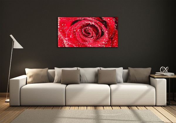 Cuadro decorativo de vidrio para salón horizontal Gotas de agua sobre una rosa