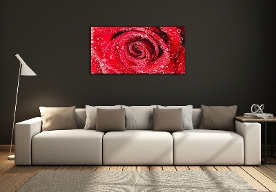Cuadro decorativo de vidrio para salón horizontal Gotas de agua sobre una rosa