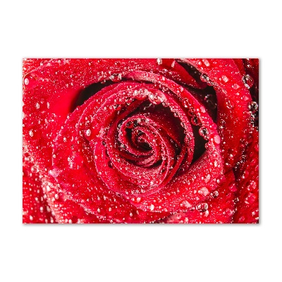 Cuadro decorativo de vidrio para salón horizontal Gotas de agua sobre una rosa