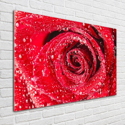 Cuadro decorativo de vidrio para salón horizontal Gotas de agua sobre una rosa