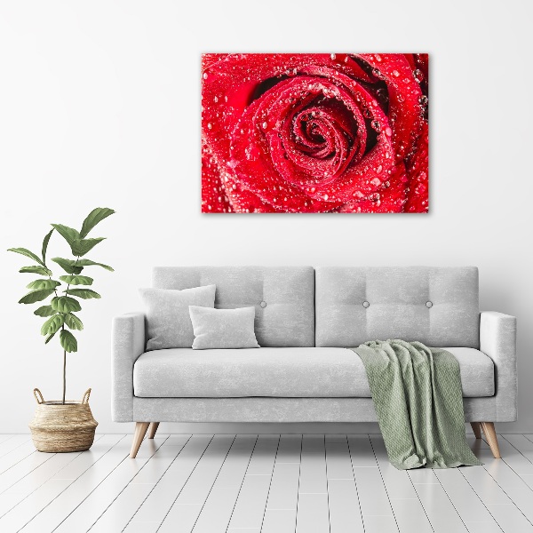 Cuadro decorativo de vidrio para salón horizontal Gotas de agua sobre una rosa