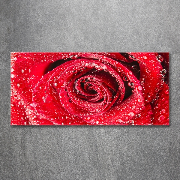 Cuadro decorativo de vidrio para salón horizontal Gotas de agua sobre una rosa