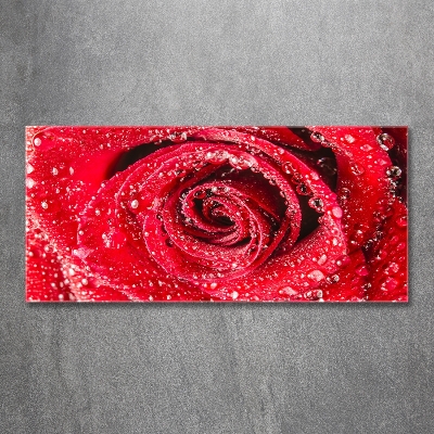 Cuadro decorativo de vidrio para salón horizontal Gotas de agua sobre una rosa