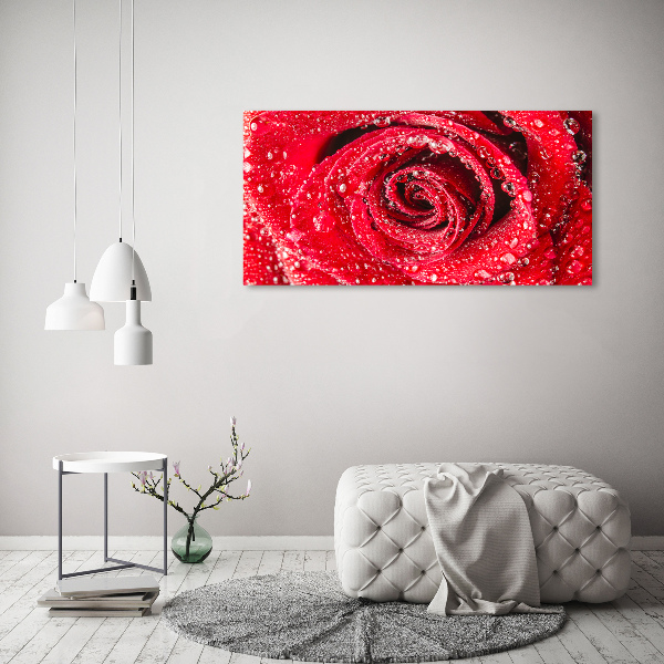 Cuadro decorativo de vidrio para salón horizontal Gotas de agua sobre una rosa