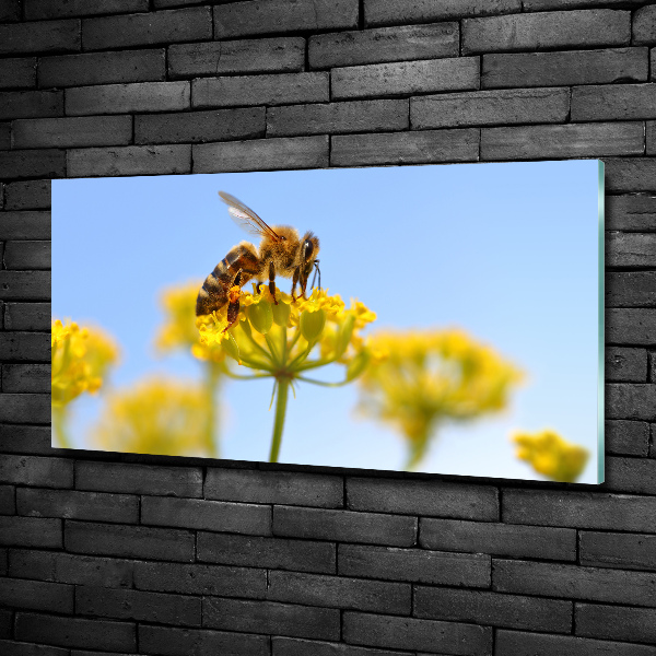 Foto en cristal de alta calidad con impresión uv horizontal Una abeja en una flor