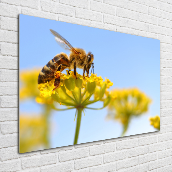 Foto en cristal de alta calidad con impresión uv horizontal Una abeja en una flor