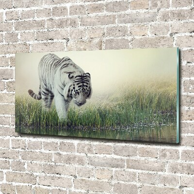 Cuadro decorativo de vidrio para salón horizontal Tigre blanco