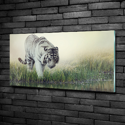 Cuadro decorativo de vidrio para salón horizontal Tigre blanco