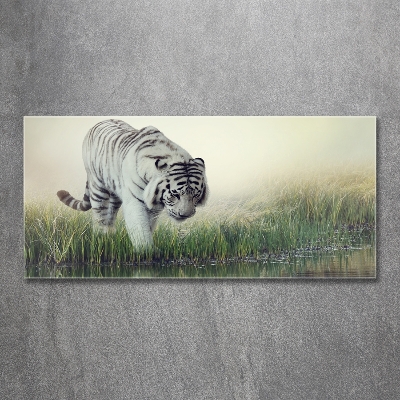 Cuadro decorativo de vidrio para salón horizontal Tigre blanco