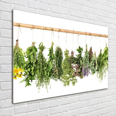 Cuadro decorativo de vidrio para salón horizontal Hierbas en una cuerda