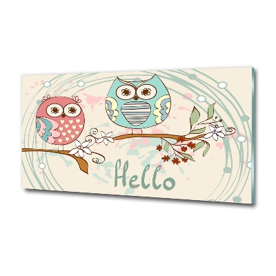 Cuadro de cristal templado moderno horizontal Búhos