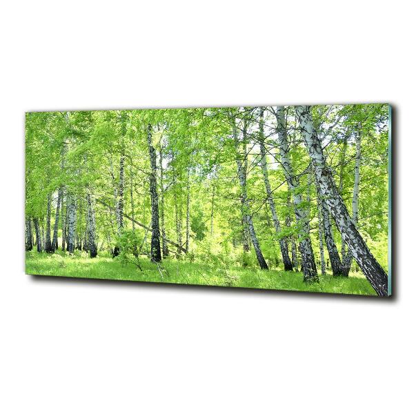 Foto en cristal de alta calidad con impresión uv horizontal bosque de abedules