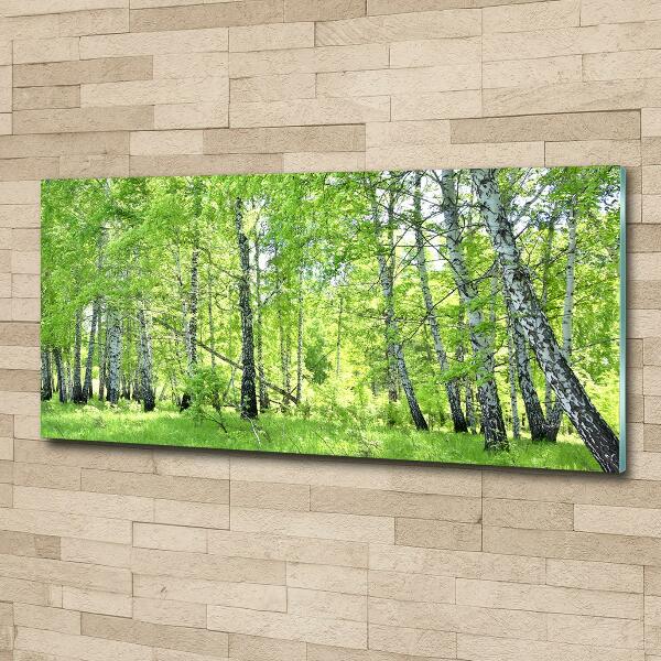 Foto en cristal de alta calidad con impresión uv horizontal bosque de abedules