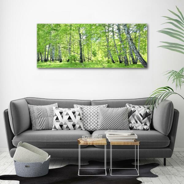 Foto en cristal de alta calidad con impresión uv horizontal bosque de abedules