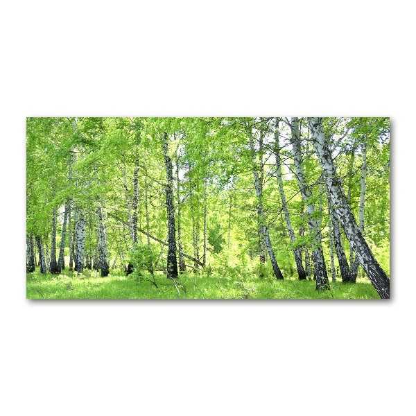 Foto en cristal de alta calidad con impresión uv horizontal bosque de abedules