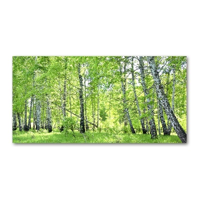 Foto en cristal de alta calidad con impresión uv horizontal bosque de abedules