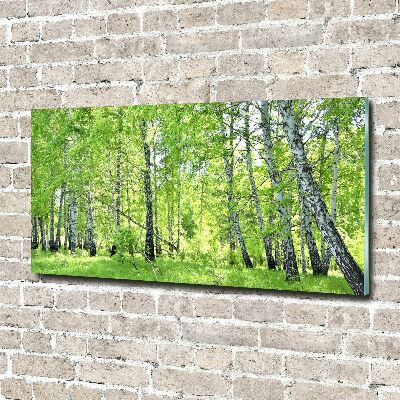 Foto en cristal de alta calidad con impresión uv horizontal bosque de abedules