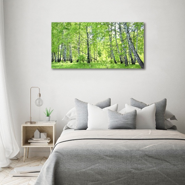 Foto en cristal de alta calidad con impresión uv horizontal bosque de abedules