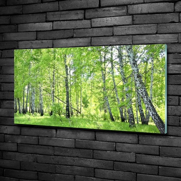 Foto en cristal de alta calidad con impresión uv horizontal bosque de abedules