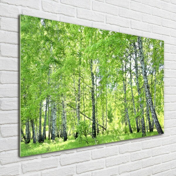 Foto en cristal de alta calidad con impresión uv horizontal bosque de abedules