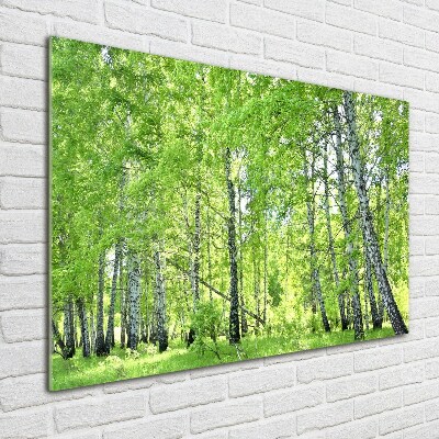 Foto en cristal de alta calidad con impresión uv horizontal bosque de abedules