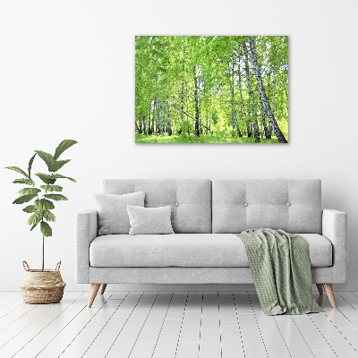 Foto en cristal de alta calidad con impresión uv horizontal bosque de abedules