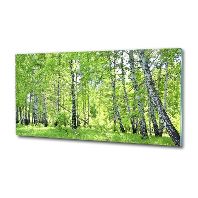 Foto en cristal de alta calidad con impresión uv horizontal bosque de abedules