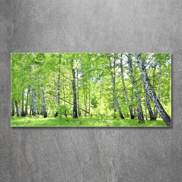 Foto en cristal de alta calidad con impresión uv horizontal bosque de abedules