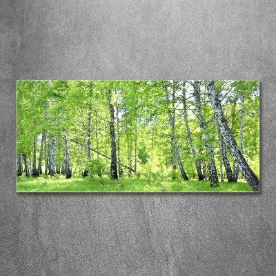 Foto en cristal de alta calidad con impresión uv horizontal bosque de abedules