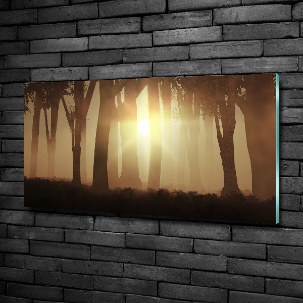 Cuadro de cristal templado moderno horizontal Niebla en el bosque