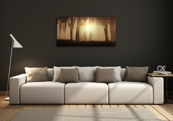 Cuadro de cristal templado moderno horizontal Niebla en el bosque