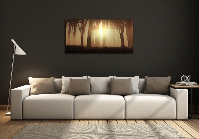 Cuadro de cristal templado moderno horizontal Niebla en el bosque