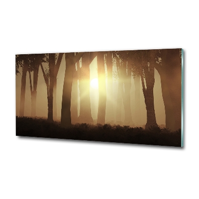 Cuadro de cristal templado moderno horizontal Niebla en el bosque
