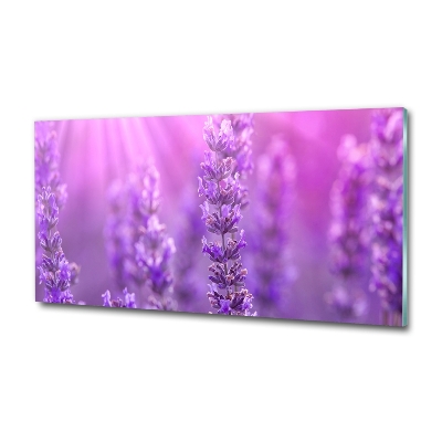 Cuadro de cristal templado moderno horizontal Lavanda