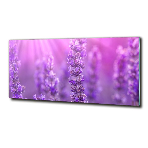 Cuadro de cristal templado moderno horizontal Lavanda