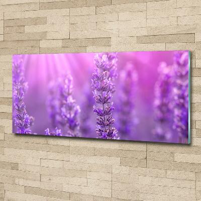 Cuadro de cristal templado moderno horizontal Lavanda