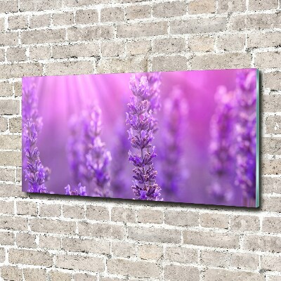 Cuadro de cristal templado moderno horizontal Lavanda