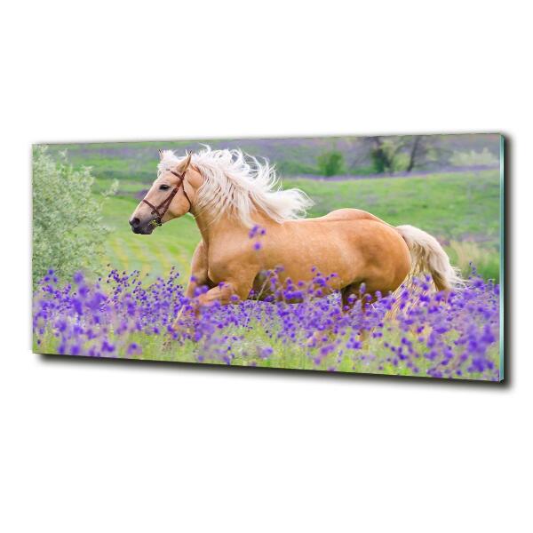 Cuadro de cristal templado moderno horizontal Un caballo en un campo de lavanda.