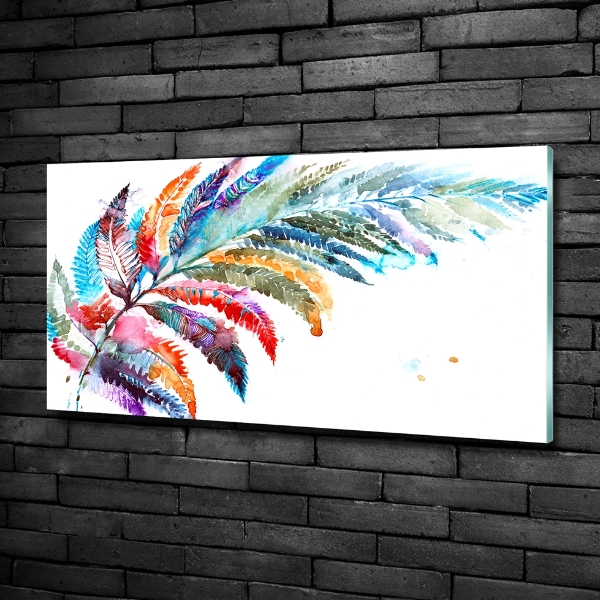 Foto obraz szkło hartowane Kolorowe pióro