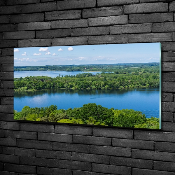Cuadro de cristal templado moderno horizontal Bosque junto al lago